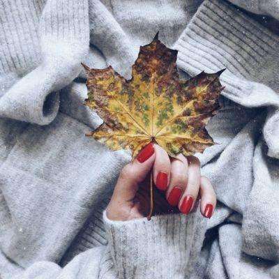 星空官方网站入口