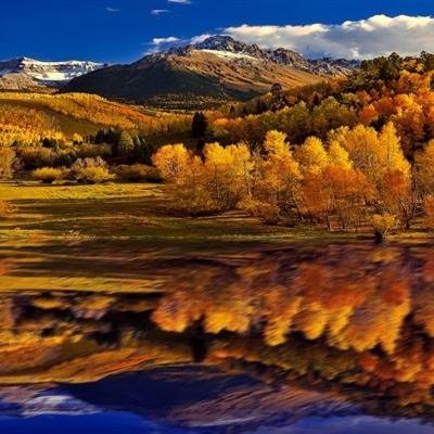 m6米乐网页版登录入口下载手机版