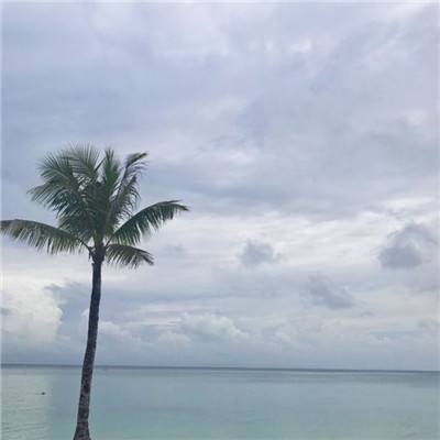 宝威体育官网下载手机版