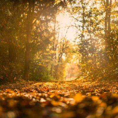 云开·全站(kaiyun)