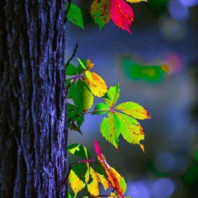 万博体育App全站下载