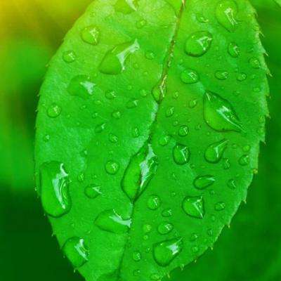 bb贝博官方平台下载